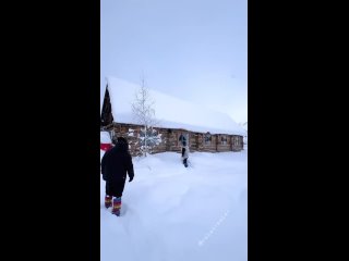 clearing the snow